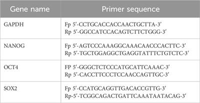 ExoDS: a versatile exosome-based drug delivery platform to target cancer cells and cancer stem cells